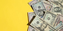 Cash on yellow background